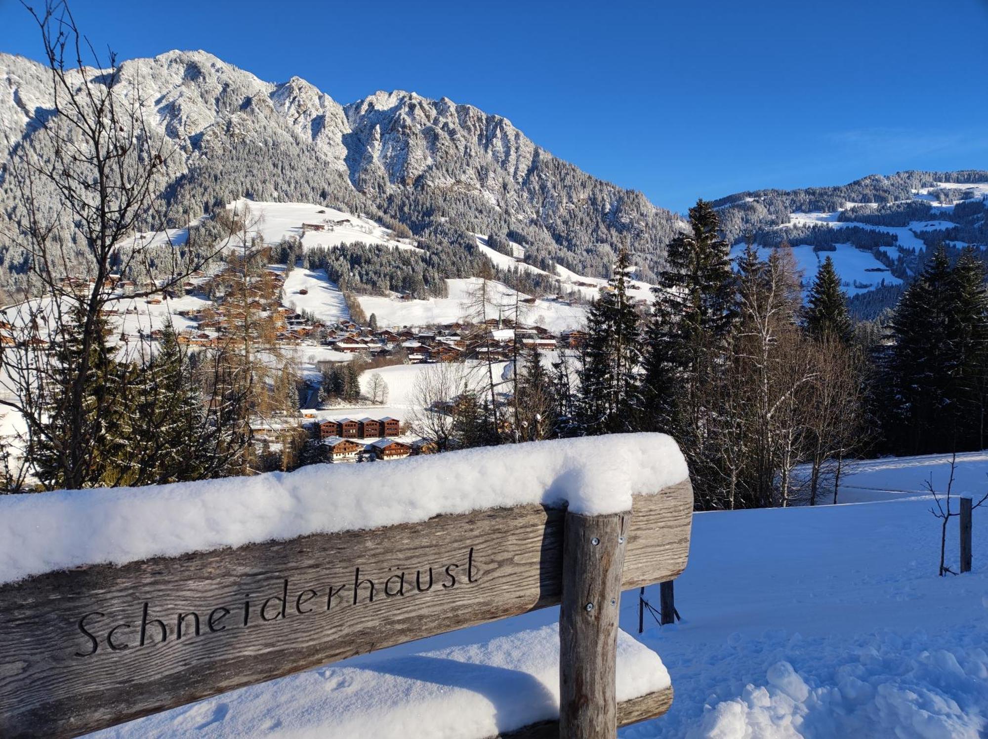 Ferienwohnungen Schneiderhaeusl 阿尔卑巴赫 外观 照片